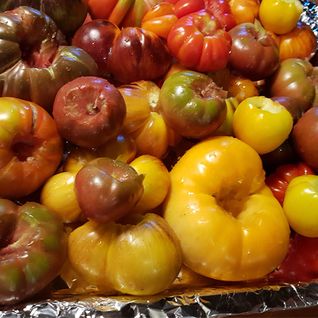 tomaten-bakplaat
